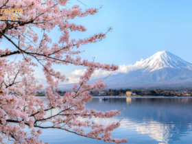 Day Trips From Tokyo