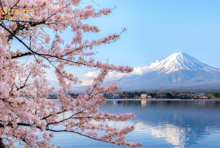 Day Trips From Tokyo