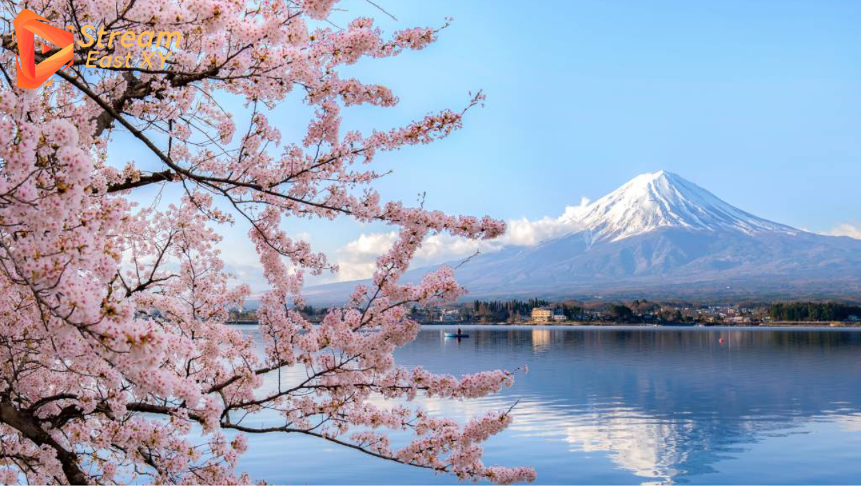 Day Trips From Tokyo